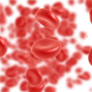 Kırmızı kan hücre akan