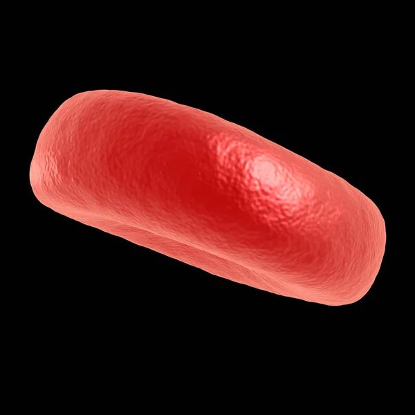 Cellula rossa del sangue — Foto Stock