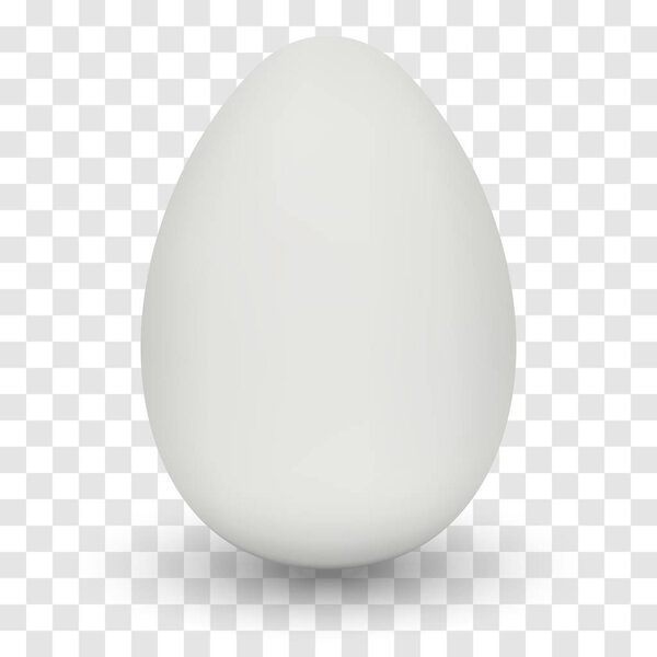Chicken Egg with shadow. Vector.
