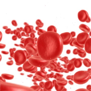 Kırmızı kan hücre akan