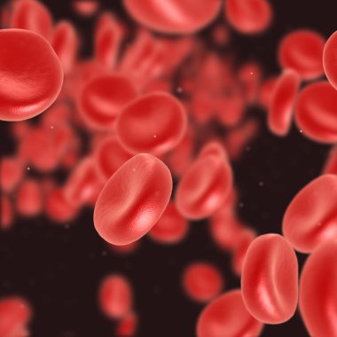 Kırmızı kan hücre akan