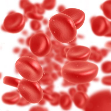 Kırmızı kan hücre akan