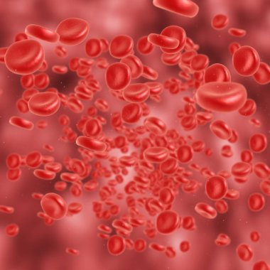 Kırmızı kan hücre akan