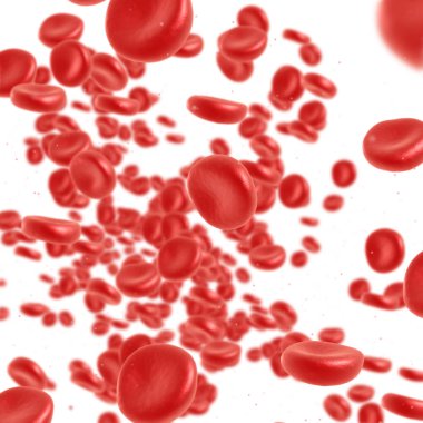 Kırmızı kan hücre akan
