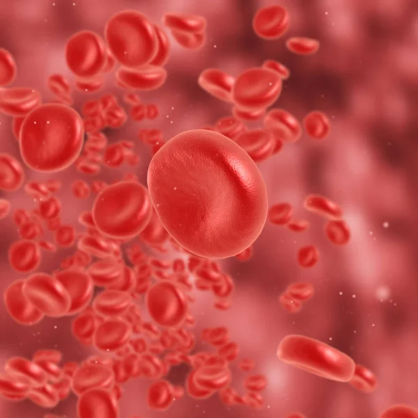 Kırmızı kan hücre akan