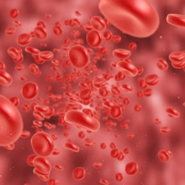 Kırmızı kan hücre akan
