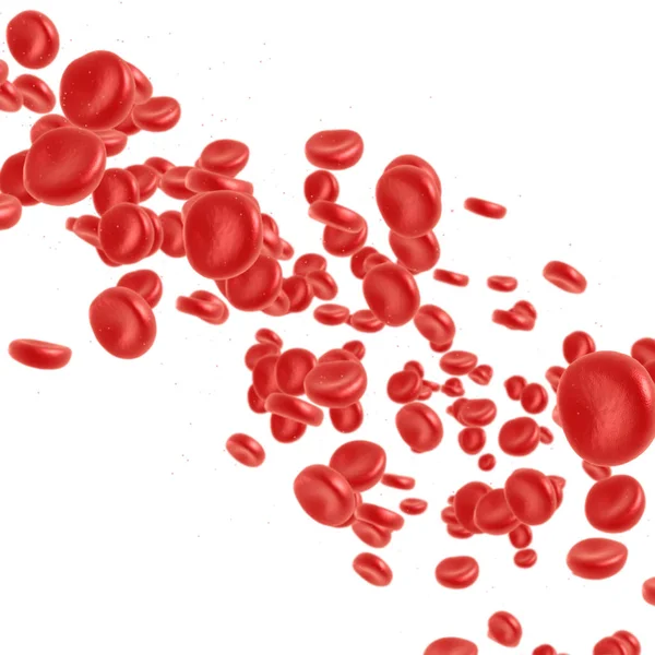 Ερυθρών κυττάρων του αίματος που ρέει — Φωτογραφία Αρχείου