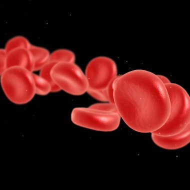 Kırmızı kan hücre akan