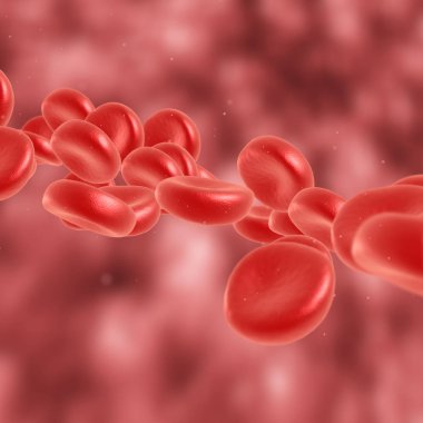 Kırmızı kan hücre akan