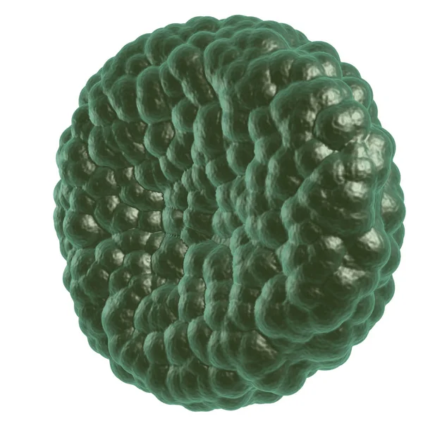 Yeşil hastalık kan hücresi