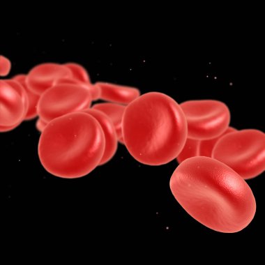 Kırmızı kan hücre akan