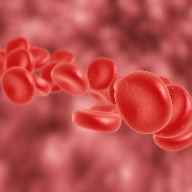 Kırmızı kan hücre akan