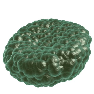 Yeşil hastalık kan hücresi