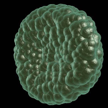 Yeşil hastalık kan hücresi