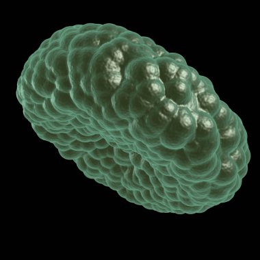 Yeşil hastalık kan hücresi