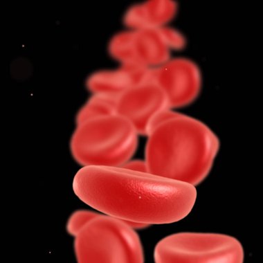 Kırmızı kan hücre akan