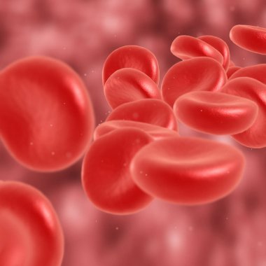 Kırmızı kan hücre akan