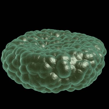 Yeşil hastalık kan hücresi