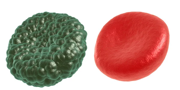 Πράσινο ασθένεια και κόκκινο κύτταρο αίματος — Φωτογραφία Αρχείου