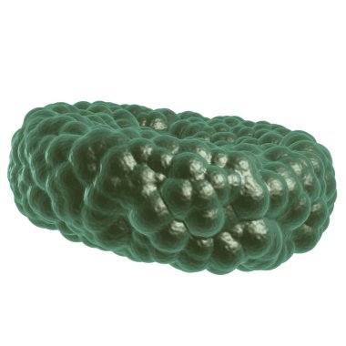 Yeşil hastalık kan hücresi