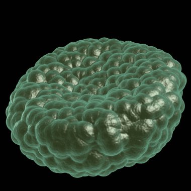 Yeşil hastalık kan hücresi