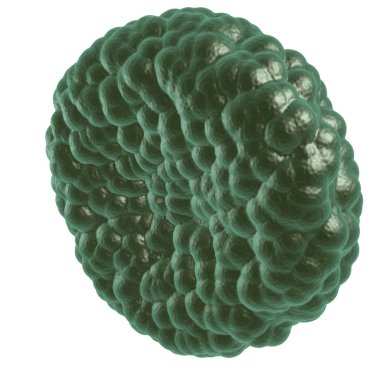 Yeşil hastalık kan hücresi