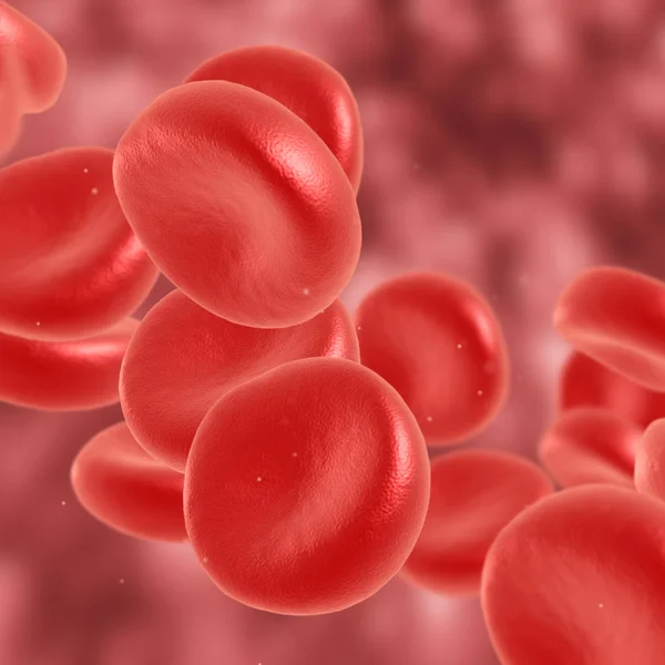 血红细胞流动 — 图库照片