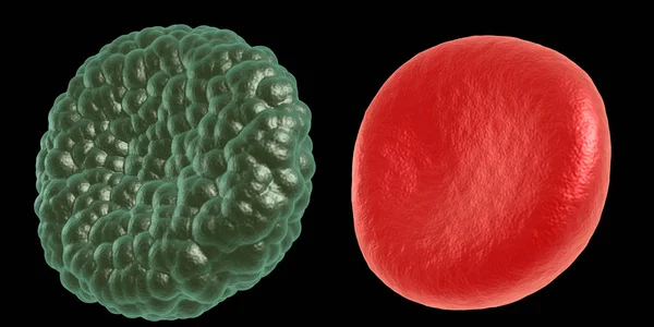 Yeşil hastalık ve kırmızı kan hücresi — Stok fotoğraf