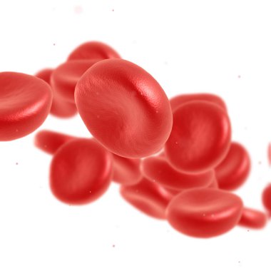 Kırmızı kan hücre akan