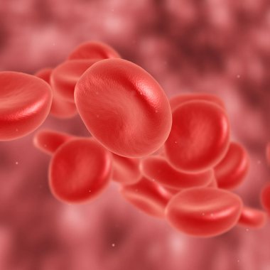 Kırmızı kan hücre akan