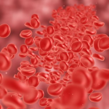 Kırmızı kan hücre akan