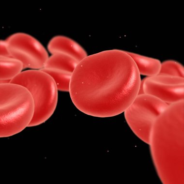 Kırmızı kan hücre akan