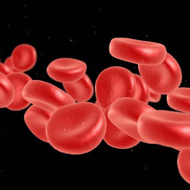 Kırmızı kan hücre akan