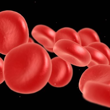 Kırmızı kan hücre akan