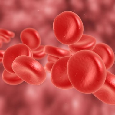 Kırmızı kan hücre akan