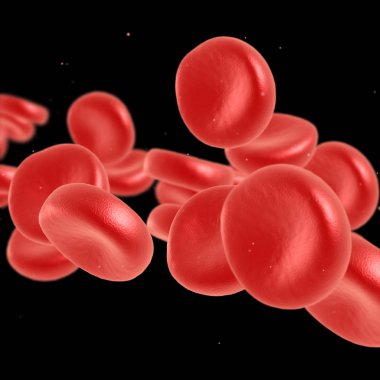 Kırmızı kan hücre akan