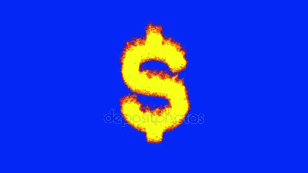 Caliente quema carta dólar en el fuego — Vídeo de stock