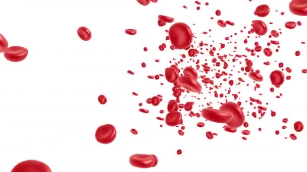 globules rouges qui coulent 