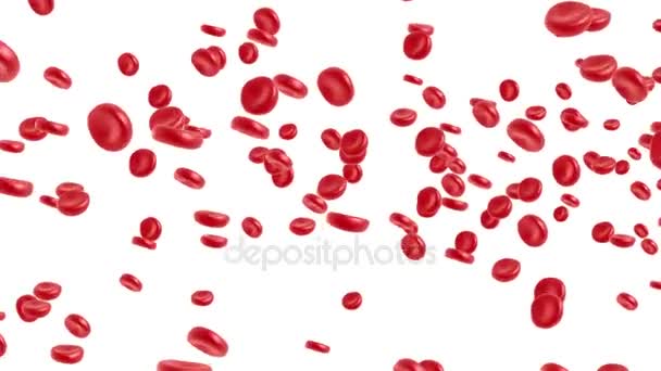 Red blood cell flowing — Stock Video