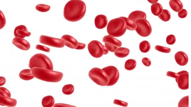 Glóbulos rojos que fluyen — Vídeo de stock