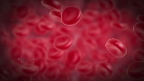 Les globules rouges tournent .