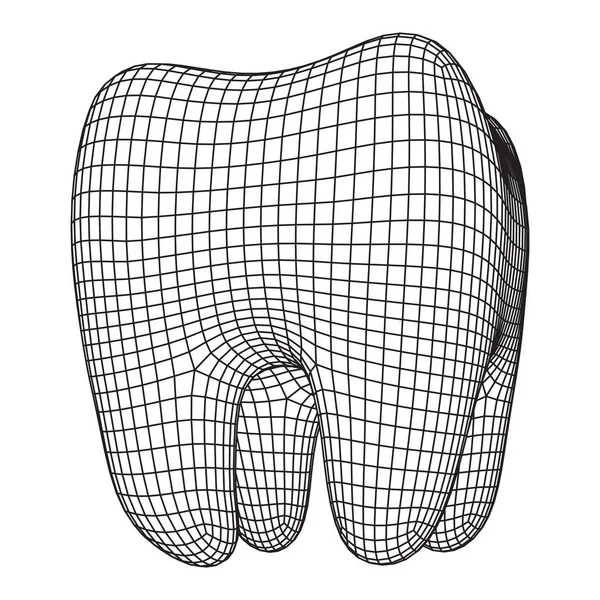 歯のワイヤ フレームのメッシュ — ストックベクタ