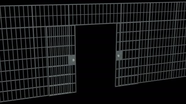 Prison bars closed — Stock Video