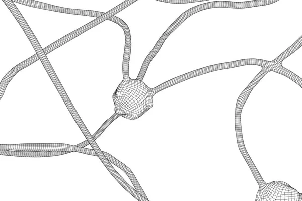 Modelo de malha de wireframe do sistema de neurônios — Vetor de Stock