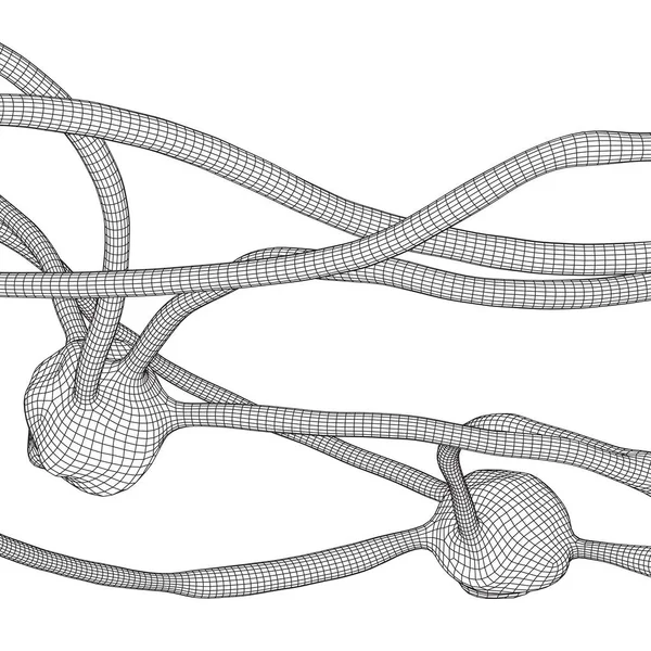 Modelo de malha de wireframe do sistema de neurônios — Vetor de Stock