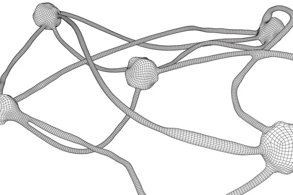 ニューロン システム ワイヤ メッシュ モデル — ストックベクタ