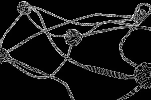 Modello di rete wireframe del sistema Neuron — Vettoriale Stock