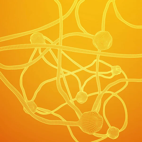 Modello di rete wireframe del sistema Neuron — Vettoriale Stock