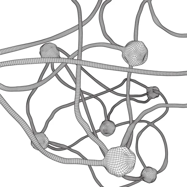 Neuron system wireframe mesh model — Stock Vector