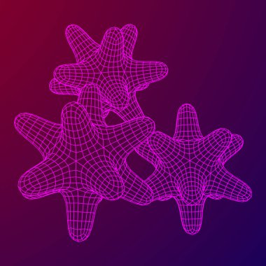 Bakteri virüs tel kafes kafes